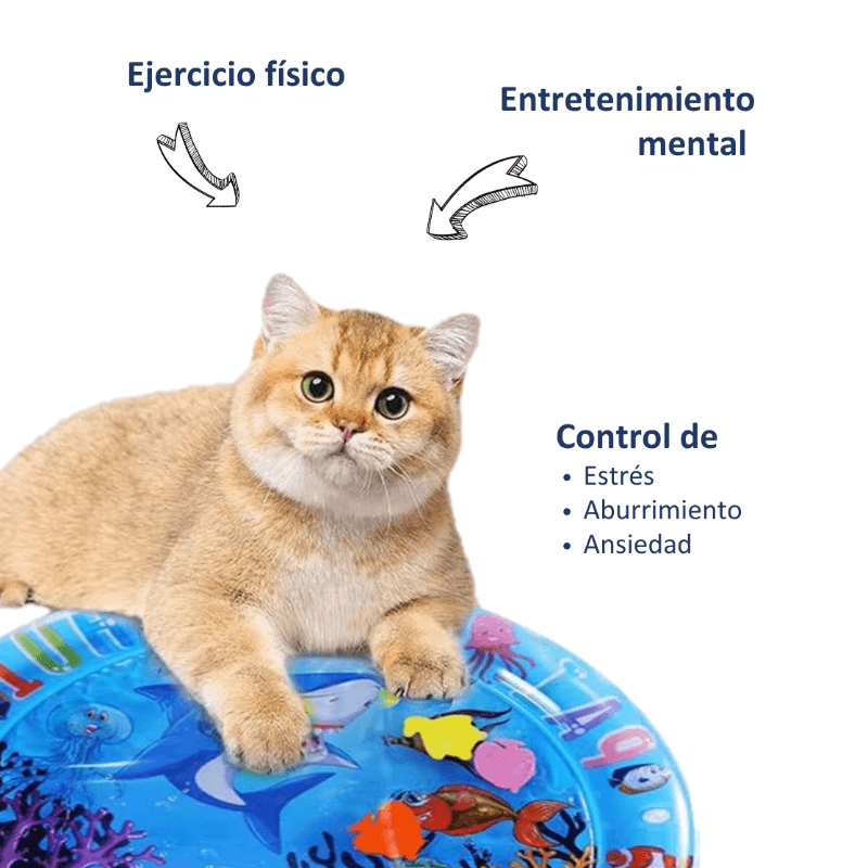 Cama sensorial interactiva con agua para gatos
